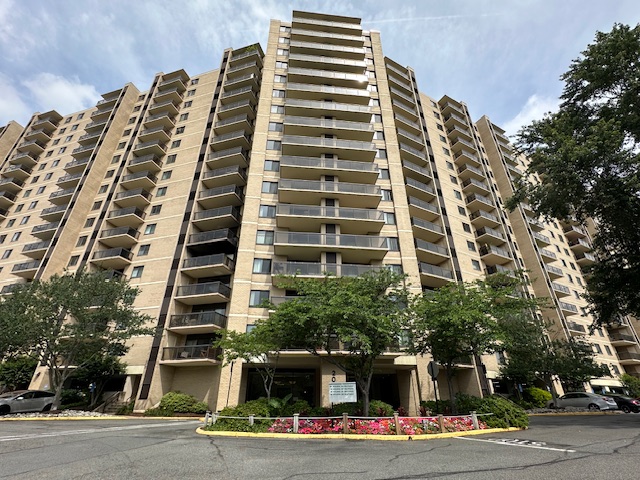 203 Yoakum Parkway